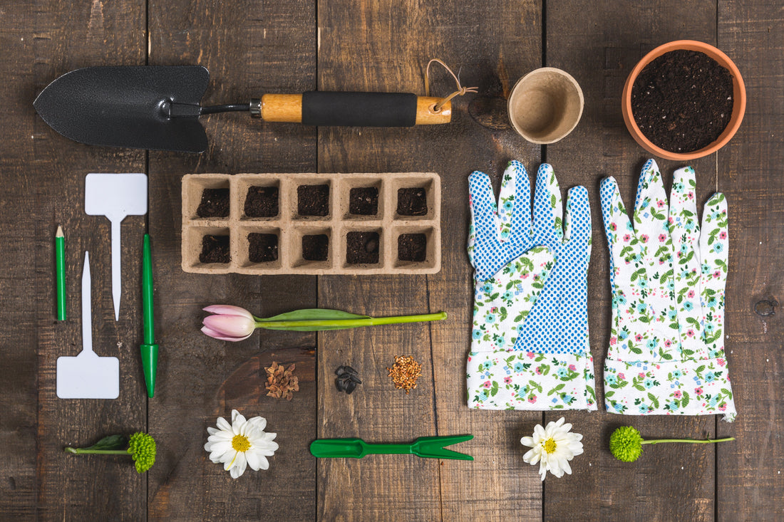 Container Gardening Care Tips