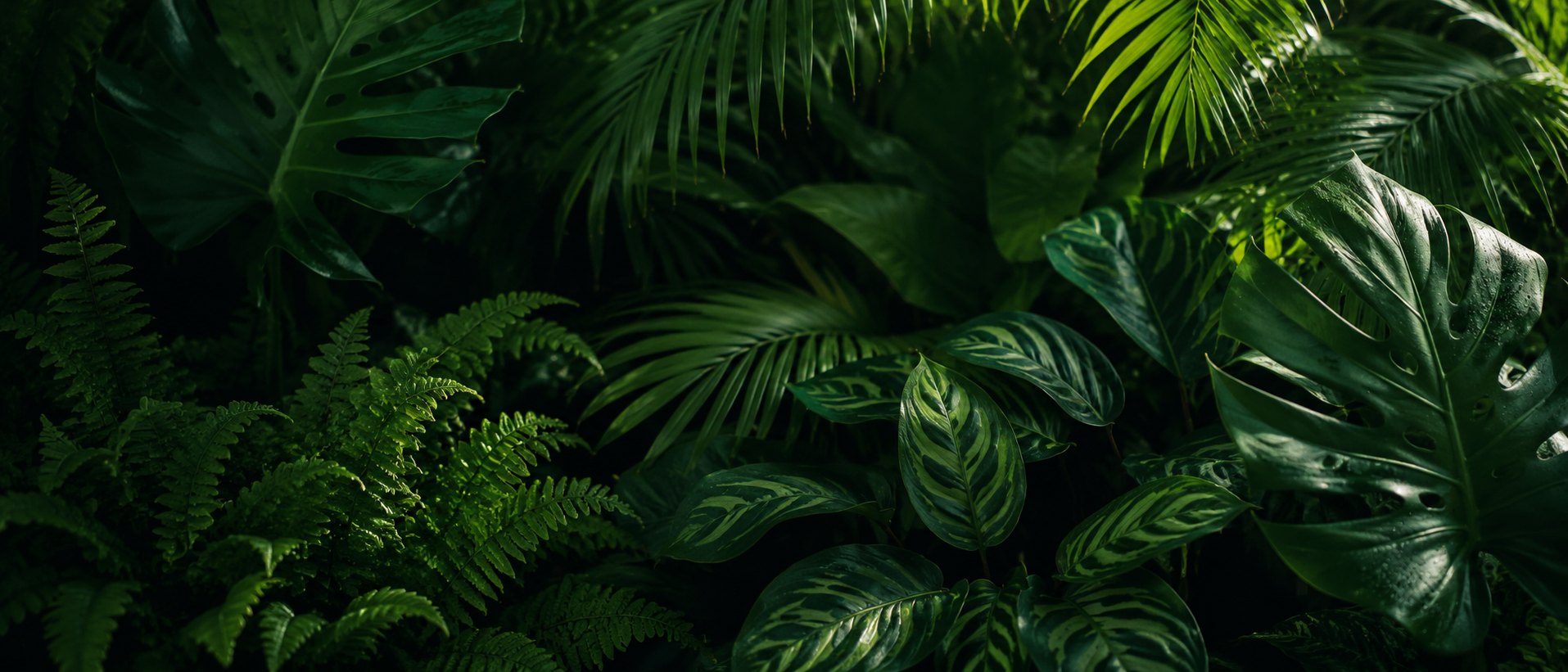 Lush layered green foliage filling the frame
